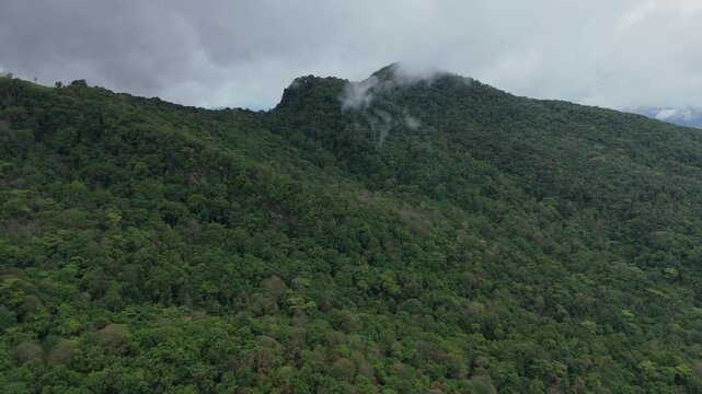 Misty tropical rainforest mountain landscape with lush green forest and dramatic cloudy sky. Scenic nature background featuring wilderness, ecology, environmental conservation, and eco tourism concept