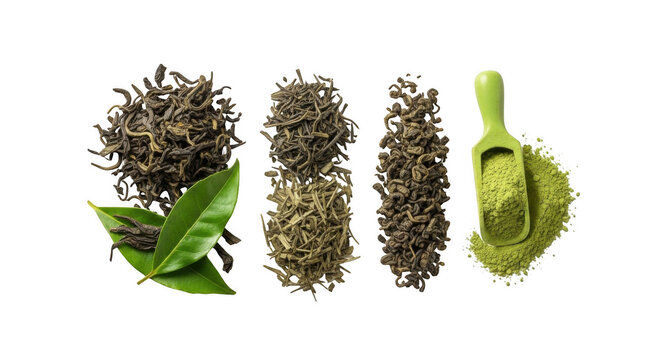 Assorted dried tea leaves, fresh green leaves, and matcha powder with a small light green scoop arranged in a row on a black background