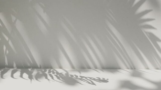 Cinematic leaf shadow overlay moving with wind on minimalist 3D studio backdrop