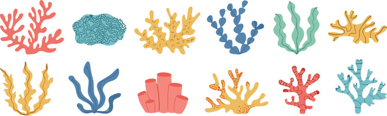 Colorful Coral Reef Collection with Various Marine Plants for Underwater, Ocean, and Sea Flora Designs © MDShakhawat