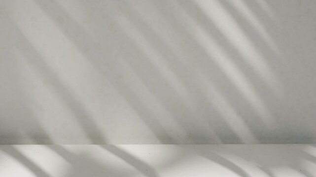 Soft diagonal palm leaf shadow moving on empty minimalist 3D studio backdrop