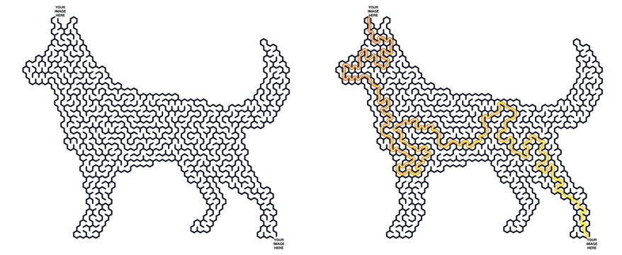 Dog illustration in maze pattern with highlighted pathways concept of Maze Animals - Dog  