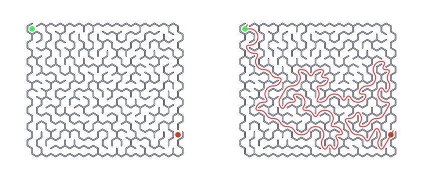 Hexagonal Maze Puzzle Set: 16x16 Grid Game with Red Start and Green Solution