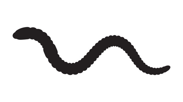 Worm Shape In Black Silhouette annelid earthworm