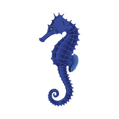 Fototapeta premium Colorful seahorse logo icon design