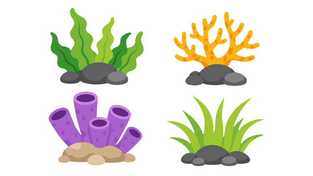 Cartoon aquarium decorations with seaweed coral stones and sponge