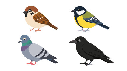 Cartoon vector set of sparrow, tit, pigeon and crow birds © Mark