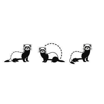Playful Ferrets in Various Cute Poses Illustration.