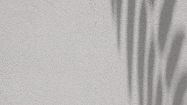 Minimalist fern foliage shadow overlay moving on white cement wall texture background