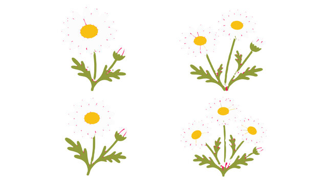 Seamless daisy flower pattern with white blooms and buds