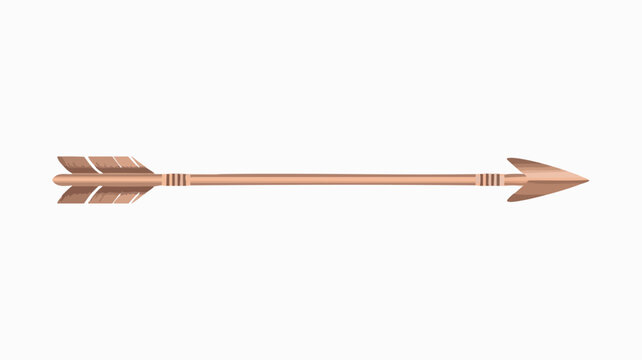 Detailed brown hunting arrow with fletching and sharp tip isolated as a decorative tribal element for your creative graphic projects