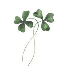 Obraz premium Watercolor shamrock illustration with delicate green clover leaves and stems, hand painted botanical element for Saint Patrick’s Day cards, invitations, stickers and festive decor
