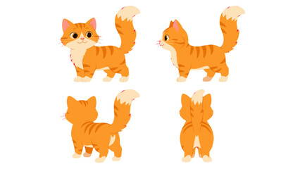 Obraz premium Cute orange tabby cat character shown from multiple angles