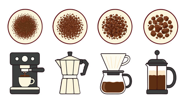 Coffee grind size chart with brewing methods vector illustration