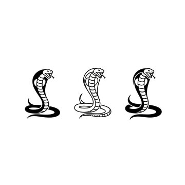 Three Black Cobra Snakes in Various Positions Illustration.