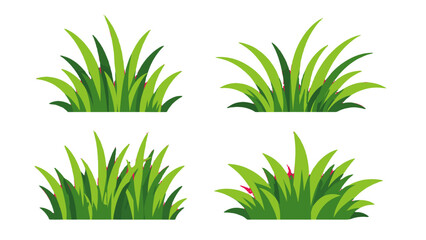 Set of green grass tufts isolated on white background © Mark