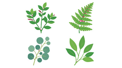 Set of green leafy plant branches and fern in flat style © Mark