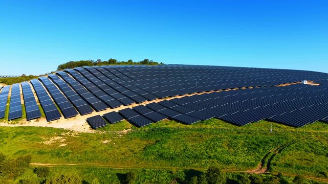 Solar panels blanketing a green hillside under clear sky. Drone view of dark module rows sweeping over a vegetated rise edged by trees and grassland.
