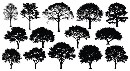 Fototapeta premium Tree silhouettes collection, various tree shapes and sizes on white background, black tree illustrations for design