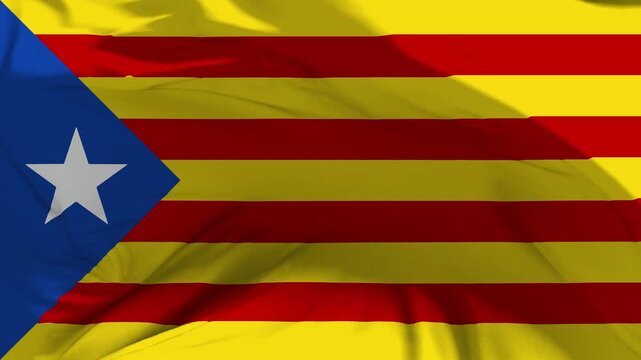 Estelada Blava Flag Waving in Slow Motion Loop Animation
