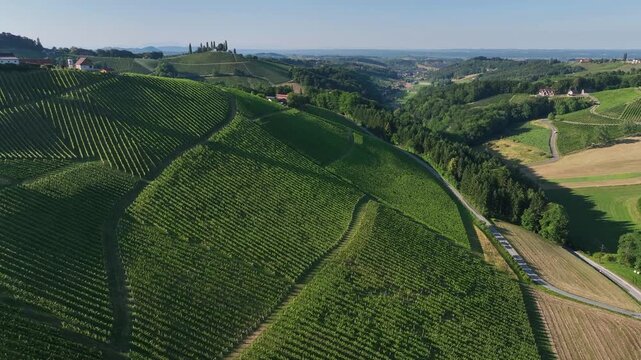 From above, small family-run winemaking farmsteads dot Styrian countryside, surrounded by blooming vineyards, rustic barns and stone walls glow in amber tones, essence of traditional viticulture