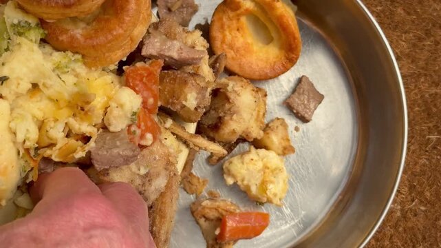 Closeup overhead shot of a man&rsquo;s hand scooping leftover family dinner from a dish into a large steel dog bowl.