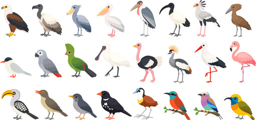 Obraz premium African bird collection featuring flamingos, parrots, cranes, ibises and raptors, African bird wildlife vector set for nature themes.