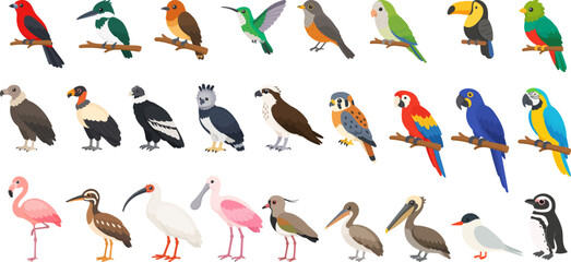 Obraz premium South American bird collection featuring tropical parrots, toucans, flamingos and raptors, South American bird colorful wildlife vector set for nature themes.