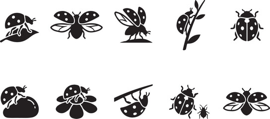 Black and white of butterflies and moths butterfly © SH STORE