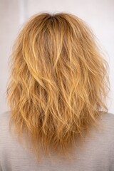 Naklejka premium Frizzy Blonde Hair Closeup With Dry Damaged Texture And Split Ends