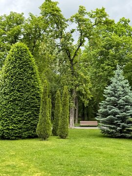 path in the park