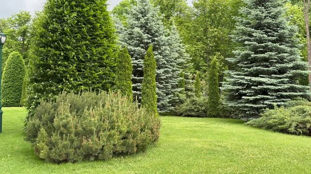 green grass in a garden