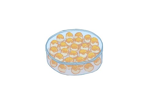 Indonesia pineapple tart in a transparent jar