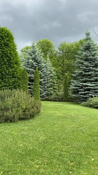 garden in the park