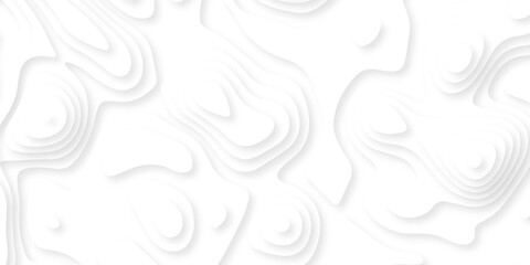lines seamless pattern sea map topography design. White wave paper curved reliefs Contour maps. Discovery topographic texture backdrop landscape earth style trail map geography design. © Alibuss
