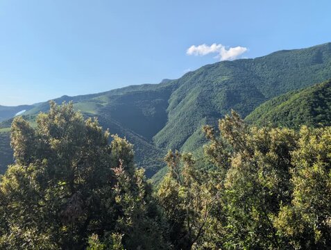 Panorama montano caratterizzato da vette rigogliose e fitti boschi verdi che si stagliano sotto un cielo azzurro e limpido. Un'unica nuvola bianca si muove leggera sopra la cima