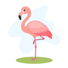 Obraz premium Greater flamingo standing gracefully, Greater flamingo showing soft pink plumage, Phoenicopterus roseus vector bird illustration.