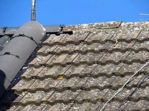 close up of roof tiles