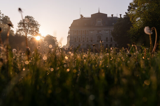 Picturesque morning landscape of Pszczyna Park in Silesia, Poland in May.