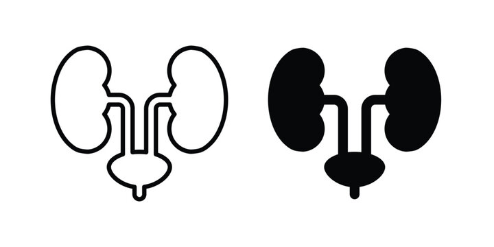 Urology icon design, web, UI. Vector illustration, EPS10.