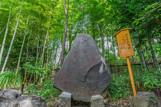Historical Rasha Shumin haiku monument with bamboo forest background at Mukojima-Hyakkaen Garden September 2023
