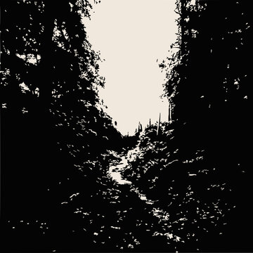 Dark Forest Path Leading to Bright Sky, Mysterious Nature Trail