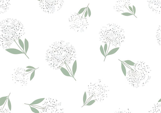 A seamless pattern featuring hand-drawn style white dandelion or allium flowers with soft sage green leaves, arranged on a clean white background.