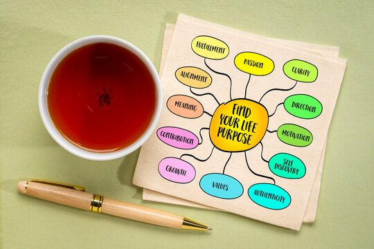 Find your life purpose, the quest for meaning and direction in life. Mind map sketch.