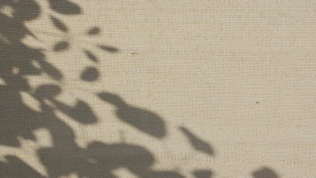 Comforting nature leaf shadow on waving sunshade net roof in summer