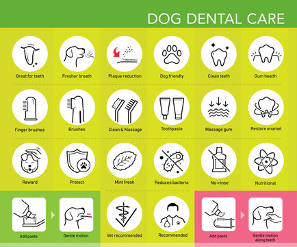 Dog dental care set icons. The outline icons are well scalable and editable. Contrasting elements are good for different backgrounds. EPS10.