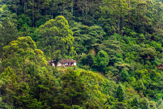 Coastal Landscape of Tayrona National Park Colombia with Jungle and Rocks