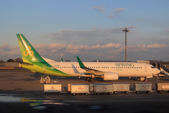 Narita, Chiba, Japan - May 26, 2026: A Spring Japan Boeing 737-800 (Registration JA01GR) parked on the airport ramp during sunset at Narita International Airport.