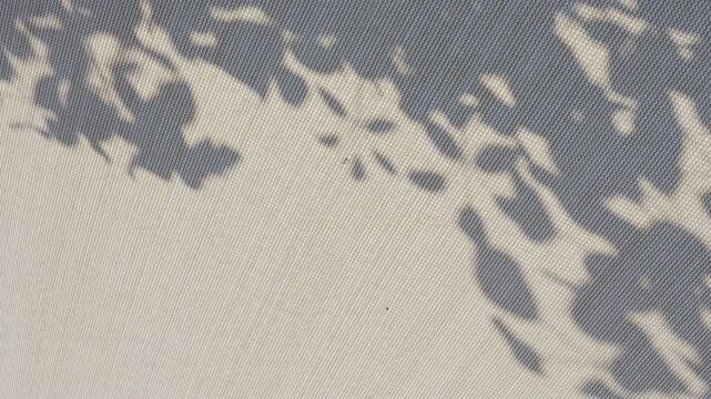 Calm summer breeze moving tree branch shadow on sunshade net roof
