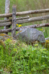Fototapeta premium Close-up of a traditional wooden fence and granite stone in rural Sweden during light summer rain. Rustic countryside scene highlighting nature, heritage and Scandinavian landscapes.
